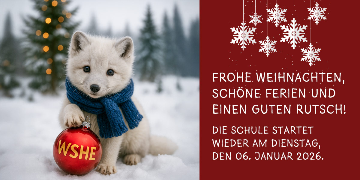 Polarfuchs mit WSHE-Weihnachtskugel im Schnee