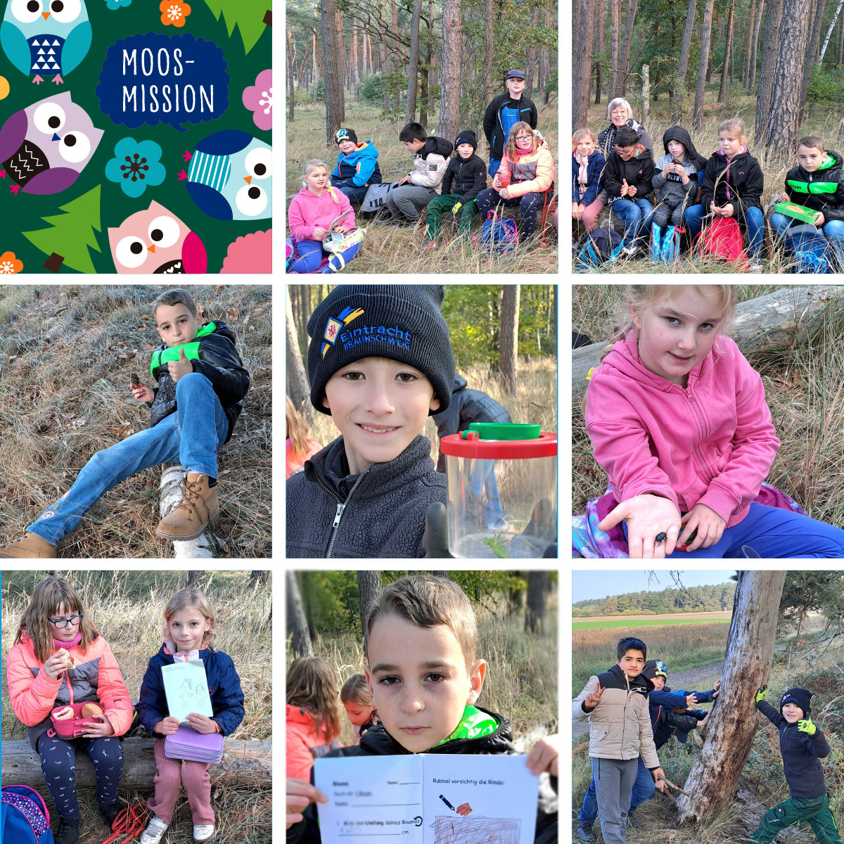 Fotoserie aus dem Wald: Schuelerinnen und Schueler beim Waldtag mit Becherlupe, Arbeitsblatt etc.