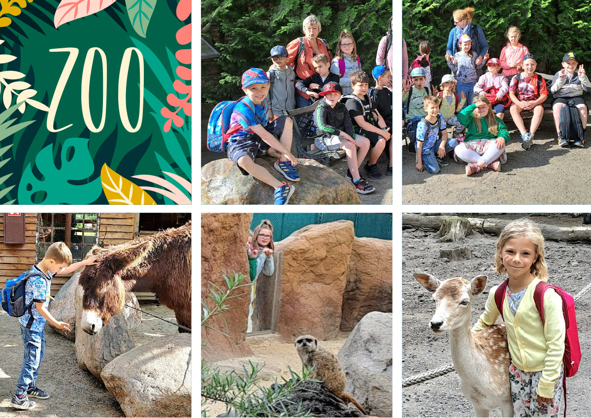 Die Grundschuelrinnen und - schueler mit Rehen, Eseln und Erdmaennchen im Tierpark Essehof
